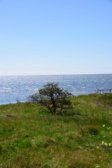 44DSC_4483