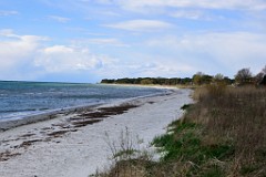 47DSC_4489