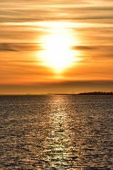 81DSC_5034