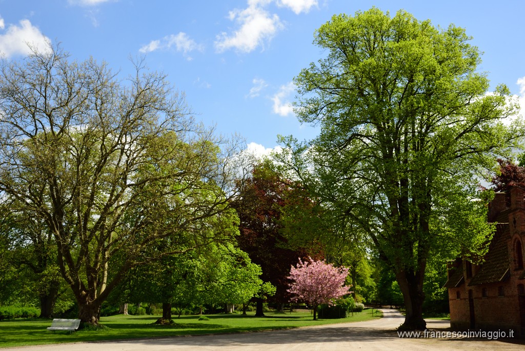 64DSC_6136.JPG