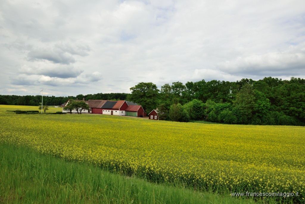 64DSC_7568.JPG