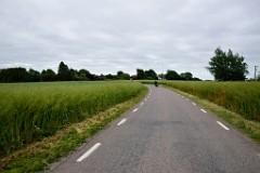 13DSC_8812