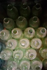 155DSC_9087
