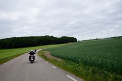 15DSC_8819