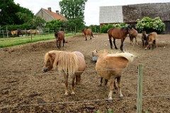204DSC_9151