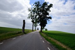218DSC_9193