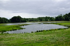 224DSC_9203