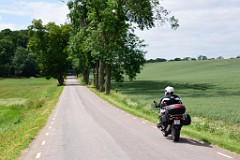 226DSC_9205