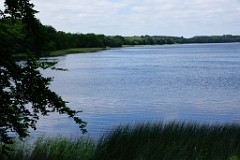 233DSC_9217