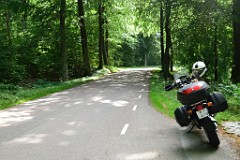 235DSC_9219