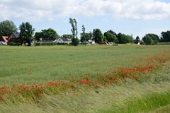 239DSC_9231