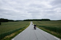 41DSC_8941