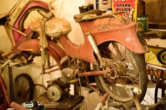 78DSC_9000