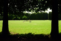 112DSC_0773