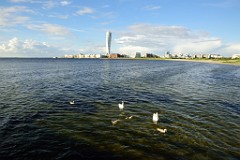 214DSC_0895