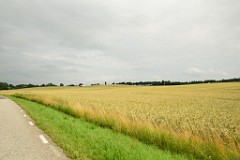 3DSC_0942