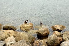 69DSC_1078