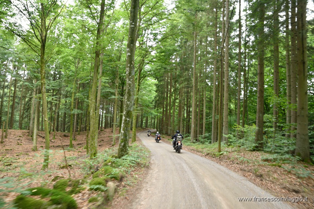 137DSC_4616.JPG