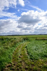 46DSC_4402