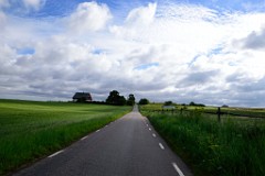 4DSC_4336
