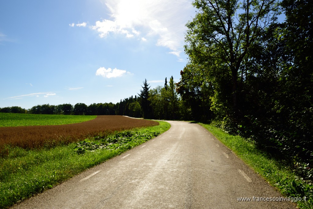 153DSC_5270.JPG