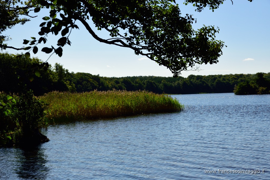 179DSC_5327.JPG