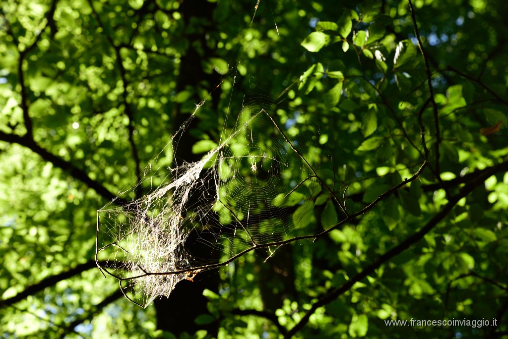 220DSC_5414.JPG