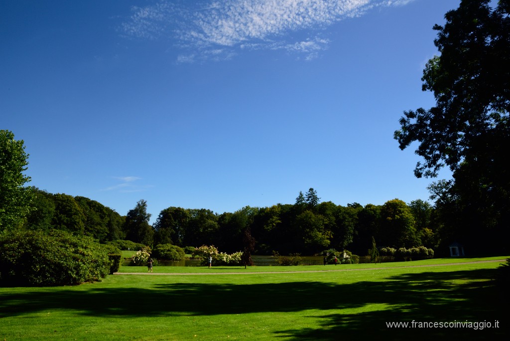 258DSC_5460.JPG