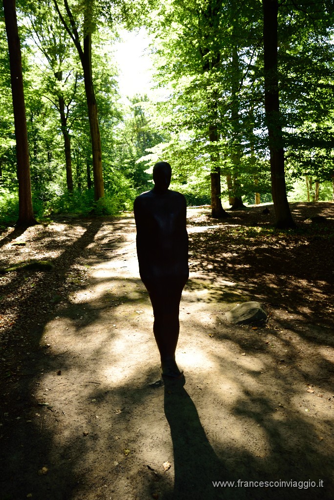 268DSC_5480.JPG