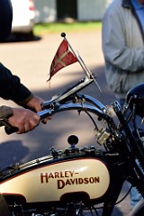 137DSC_5228