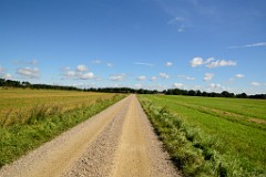 150DSC_5260