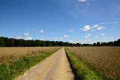 151DSC_5262