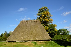 152DSC_5269