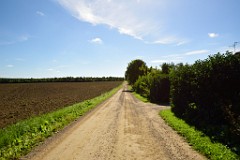 157DSC_5279