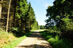 158DSC_5283
