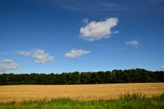 159DSC_5285