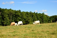 160DSC_5286