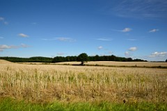161DSC_5291