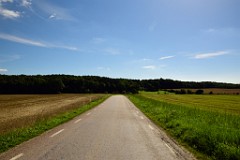 165DSC_5296