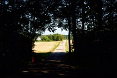 166DSC_5301