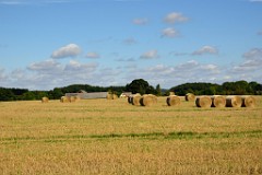 167DSC_5302
