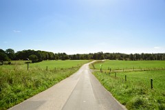 171DSC_5314
