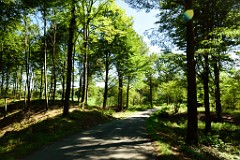174DSC_5319