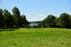 177DSC_5324