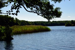 179DSC_5327