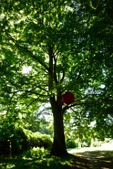 200DSC_5370