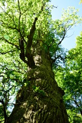 210DSC_5395