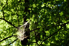 220DSC_5414