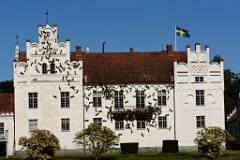 238DSC_5436