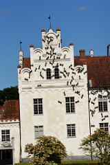 239DSC_5437